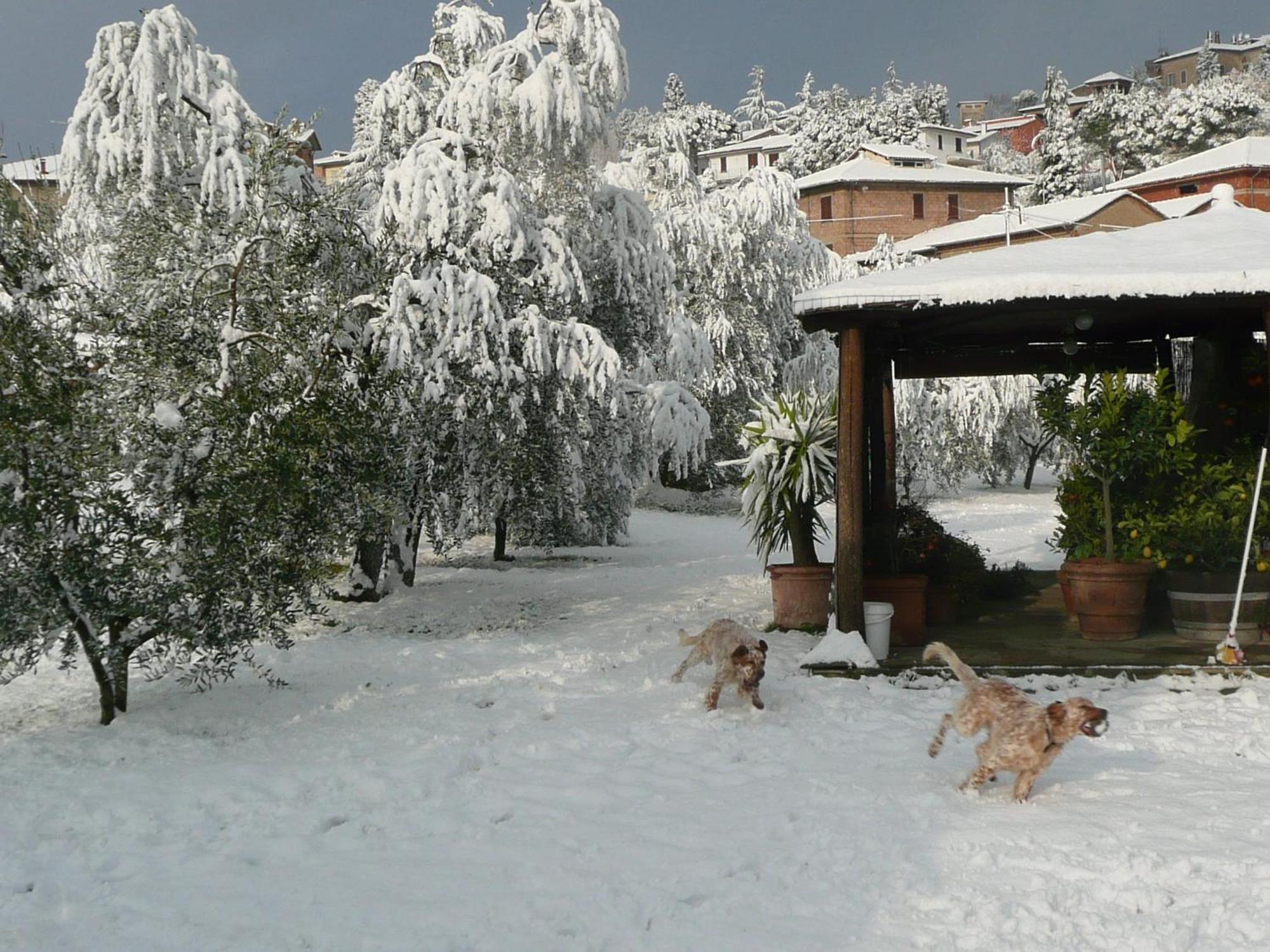 Bed and Breakfast Il Baraccotto Lucignano Exterior foto